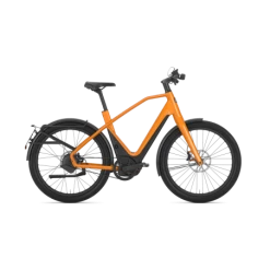 Speed Bike Gazelle N°1