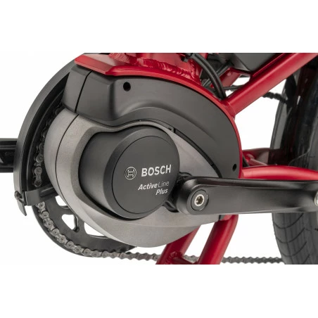 Tern Vélo électrique Pliant Vektron Q9 LR – Image 5