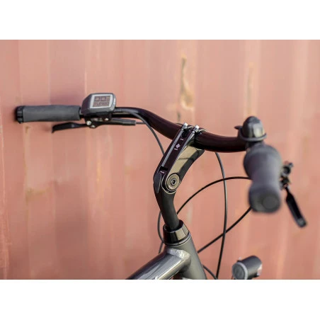 Vélo électrique Trek District+ 1 – Image 6